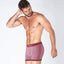 5391_boxer_PRINCIPAL.jpg